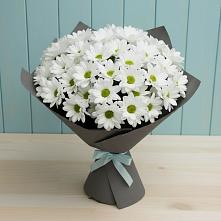 Букет белые хризантемы в Жилино-1 Букет цветов из:  Хризантемы в Жилино-1