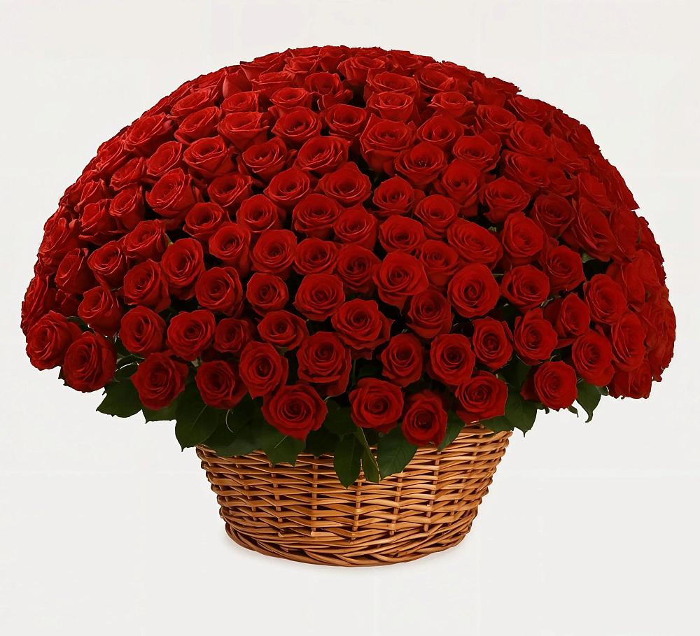 Премиум букет из: Розы в Жилино-1