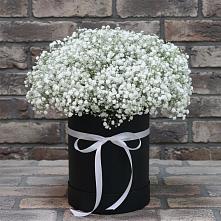 Цветочная композиция из Гипсофила в шляпной коробке в Жилино-1