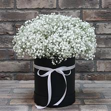 Цветочная композиция из Гипсофила в шляпной коробке в Жилино-1