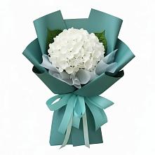 Букет цветов из:  Гортензия в Жилино-1
